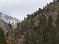 _6079449