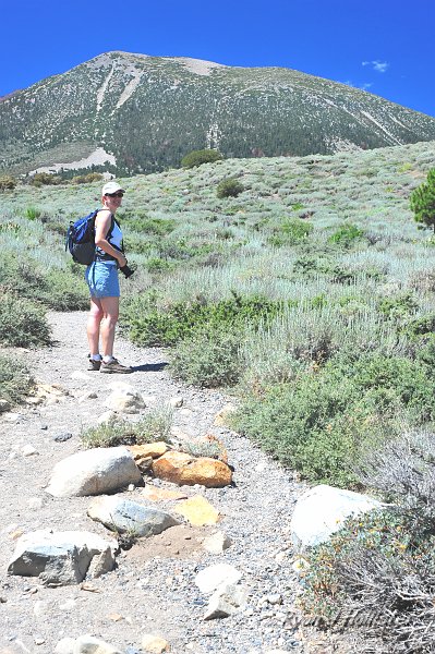 RJH_4735.JPG - The start of Parker Lake Hike.