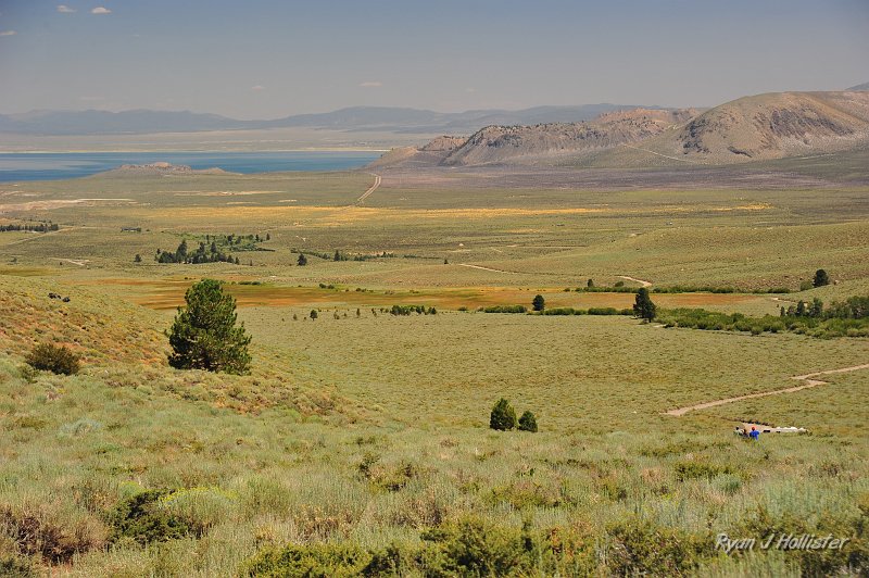 RJH_4737.JPG - Mono Lake, a fresh burn and the start of the Mono Craters.