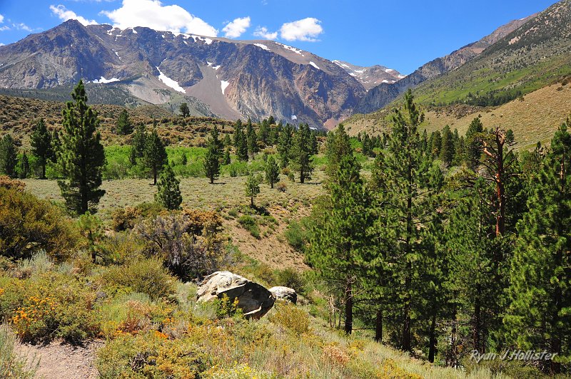 RJH_4743.JPG - After false-cresting the terminal moraine a small scrubby meadow appears.