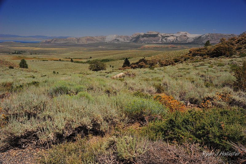 RJH_4760.JPG - Another view of the Mono Craters with Mono Lake on the left.