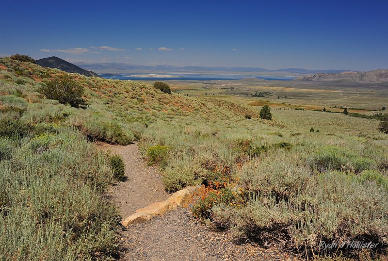 RJH_4761.JPG - Mono Lake.