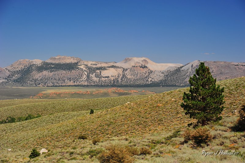 RJH_4762.JPG - The main craters.
