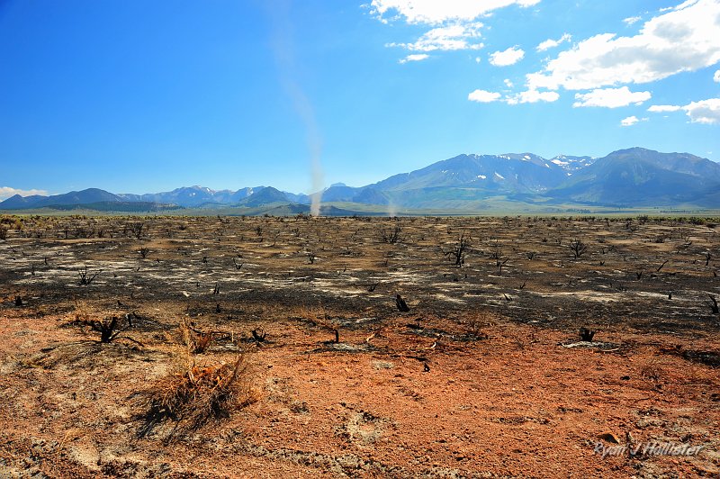RJH_4765.JPG - After the hike we still had lots of daylight, so Laura and I drove our Forester out to the base of the craters into a very recent burn.  We got to see some awesome dust devils.