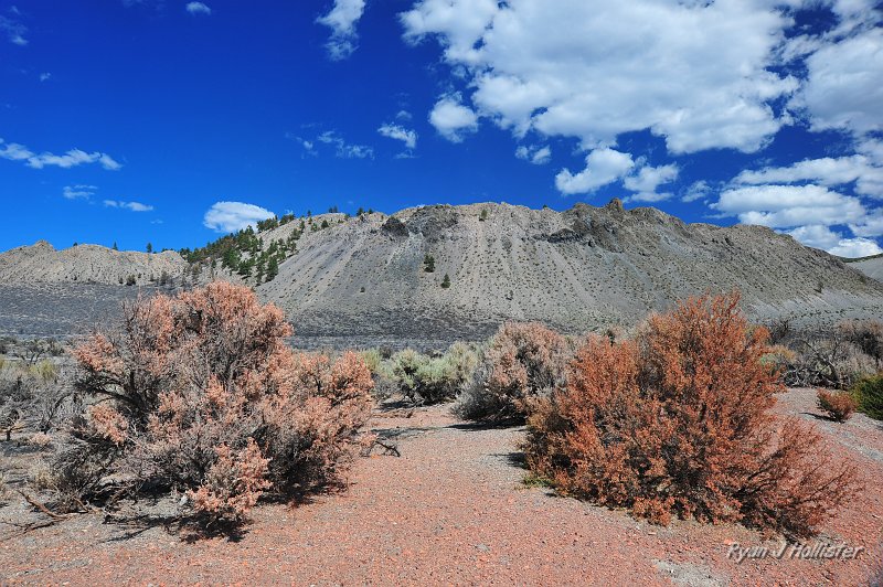 RJH_4771.JPG - The pink on the bitter brush is fire retardant dropped via airplane.