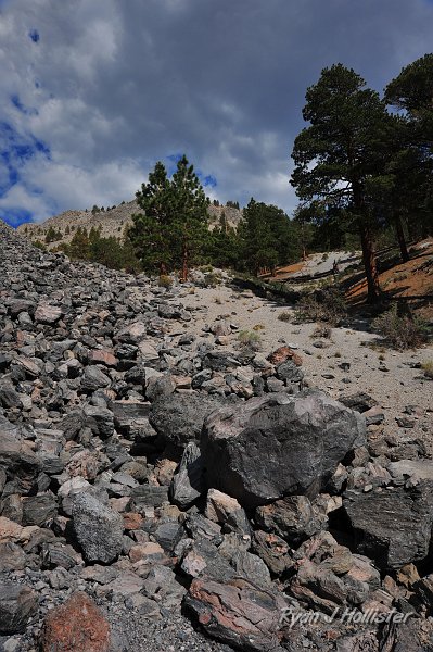 RJH_4777.JPG - Obsidian with flow banding.