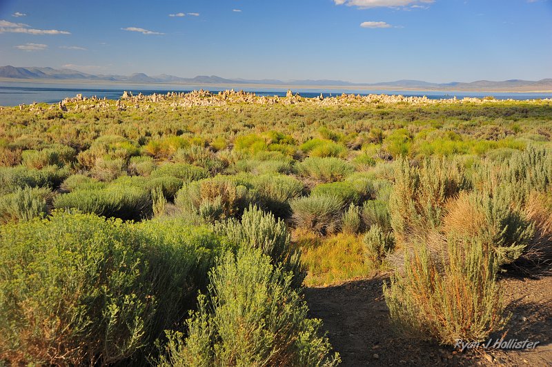 RJH_4786.JPG - Laura and I then took a long dirt road from the Mono Mills to the South Tuffa of Mono Lake.