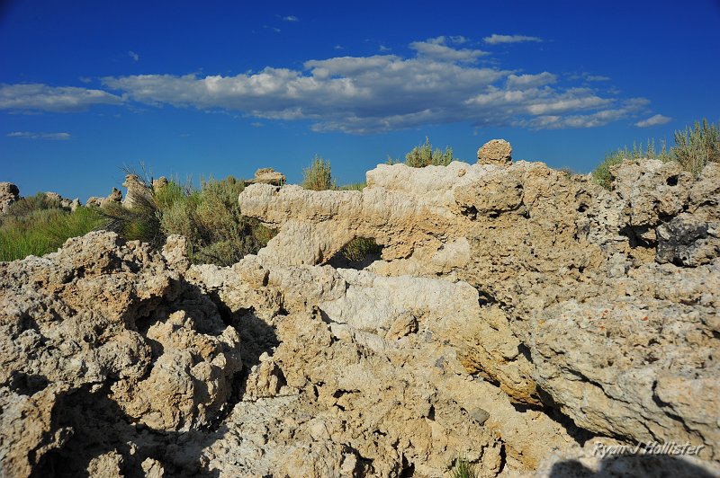 RJH_4788.JPG - Carbonaceous tuffa is formed when carbonate-rich spring water interacts with calcium-rich lake water.  There's no lake water now... but there used to be!