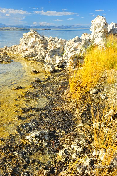 RJH_4808.JPG - Makes for a neat photo, although the smell was something else.