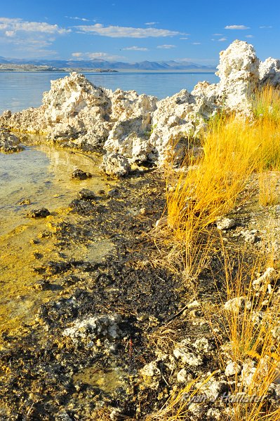 RJH_4811.JPG