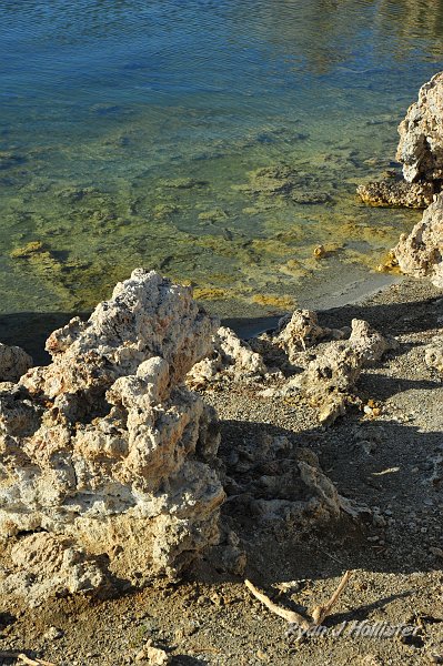 RJH_4815.JPG