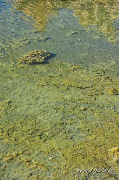 RJH_4822.JPG - Ripples in the shoreline.