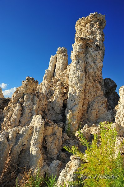 RJH_4839.JPG