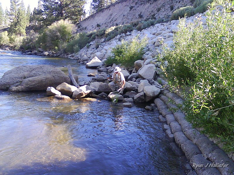 DSC00184.JPG - We then moved on to the West Walker river where my dad caught four rainbows over a pound on worms and I caught two on a bluefox lure.  This was taken on my phone since I didn't want to risk dunking my camera.