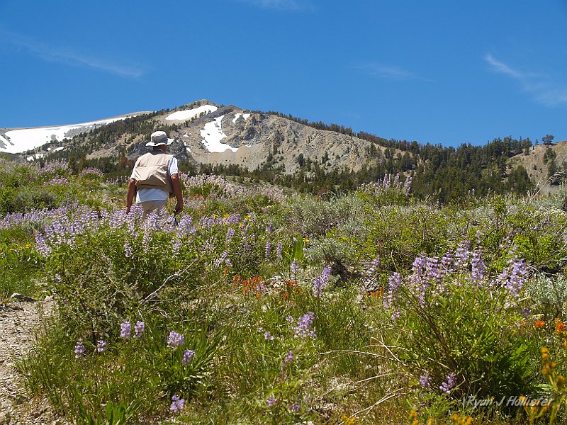 _7110229.JPG - This looks like a scene from Heidi.