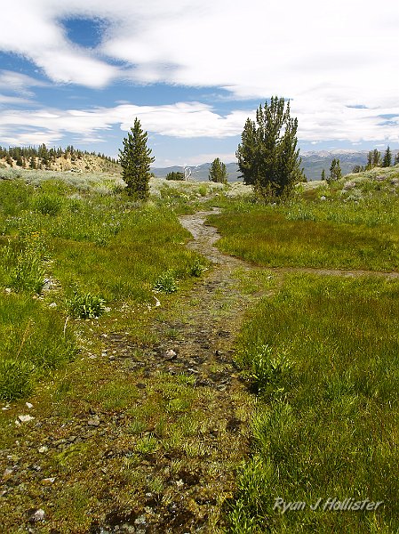 _7110232.JPG - It's hard to see, but there's a nice spring-fed creek here that will eventually join Poison Creek.
