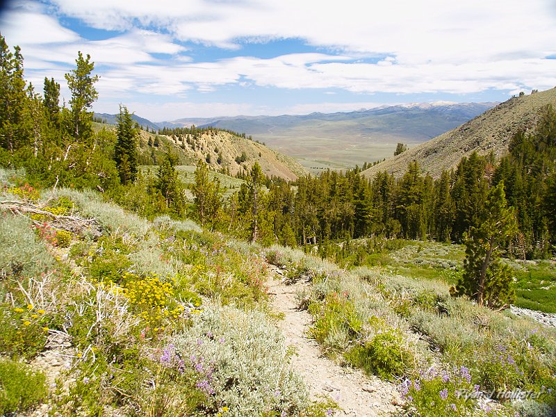 _7110236.JPG - The view back towards Little Walker valley.