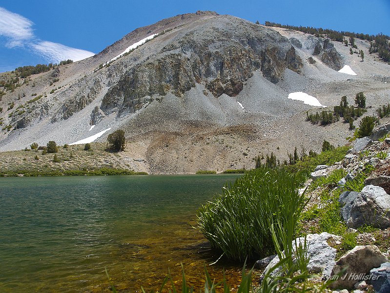 _7110256.JPG - More onions & Mt Emma.  If one likes eating brook small brook trout, the onions here would make a great butter sautee.