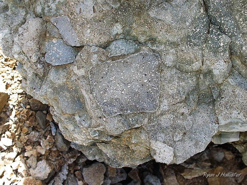 _7110257.JPG - You didn't think I would skip out on the geoplgy, did you? This is a pretty interesting volcanic breccia made of what looks to be an andesitc porphyry.  That just means this was a sticky magma that had cooled somewhat underground before it was erupted around 10 to 9 million years ago. I have yet to find a map that will give me an exact formation name.