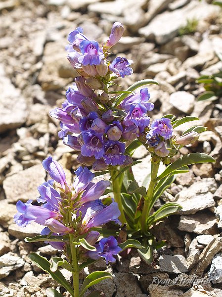 _7110261.JPG - OLYMPUS DIGITAL CAMERA