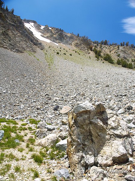 _7110268.JPG - A lot of this talus was created during the last ice age when a glacier called this cique home.