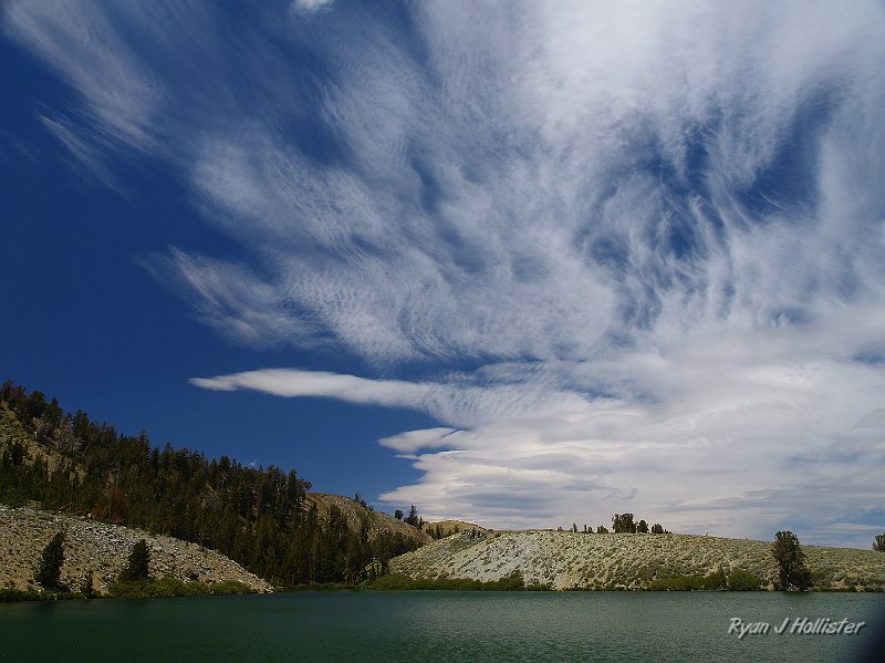 _7110272.JPG - What a pretty piece of nature's art.