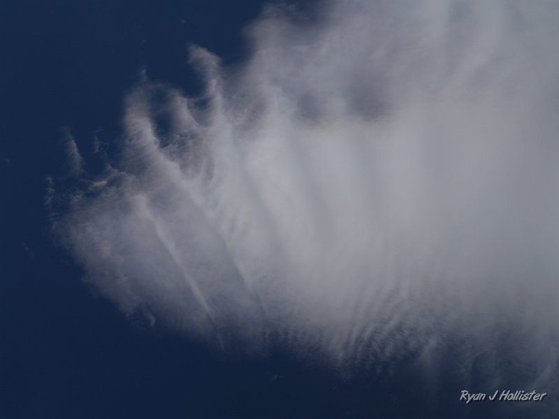 _7110281.JPG - I have never seen a cloud like this in my life.  Laura thinks it looks like a lionfish.