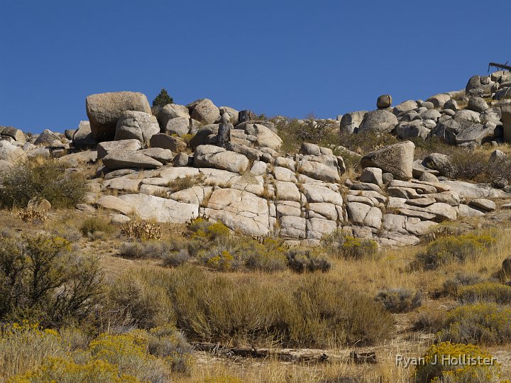 _A125258.JPG - I'm sure the plant roots will expedite the weathering of these granite joints.