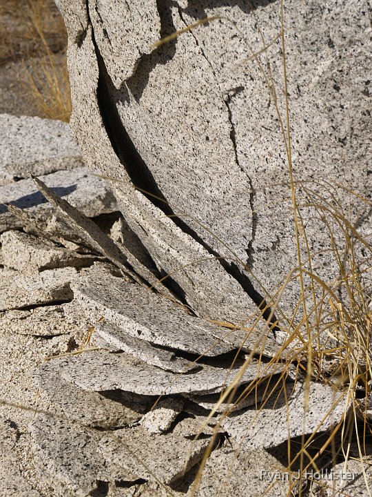 _A125266.JPG - These peels of granite were very crumbly along the edges, which means chemical weathering (hydrolisis) is turning the feldspar minerals in this rock into a clay.