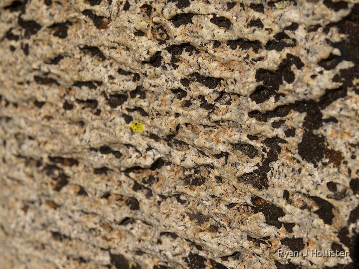 _A125309.JPG - A close-up of the ventifact-like erosional structures.