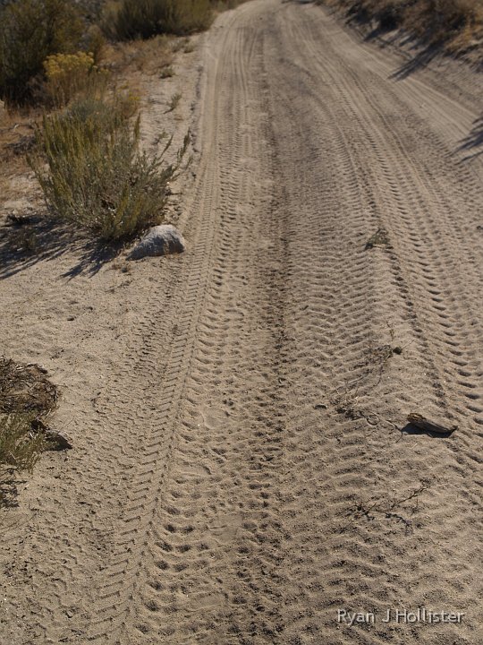 _A125323.JPG - OLIf you look down the center of the road, you'll see the distinct paw path left by the bear walking down the road.