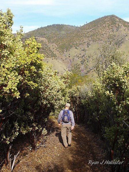 indian_creek_011610_1228.JPG - The manzanita rules the views for the first several hundred yards.