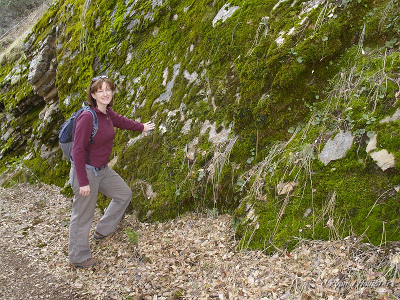 indian_creek_011610_1233.JPG - Laura loves the moss.