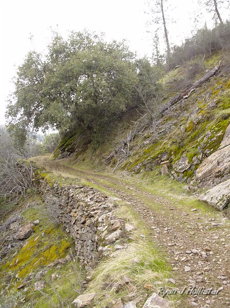 indian_creek_011610_1242.JPG - There are many curves that have been engineered to allow mule & wagon traffic.