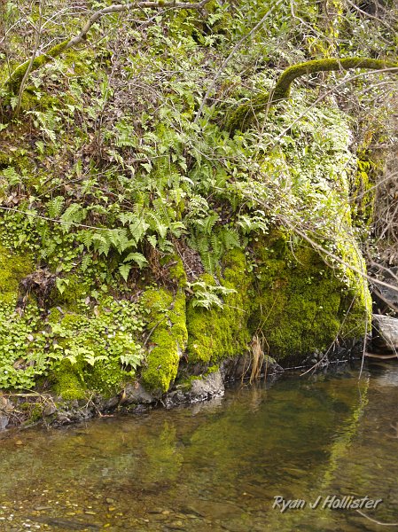 indian_creek_011610_1245.JPG - Indian Creek.