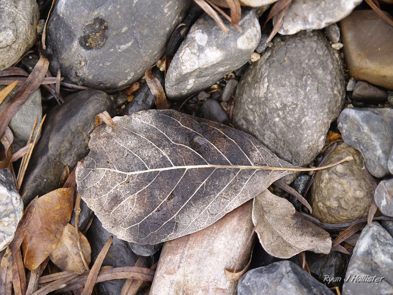 indian_creek_011610_1271.JPG
