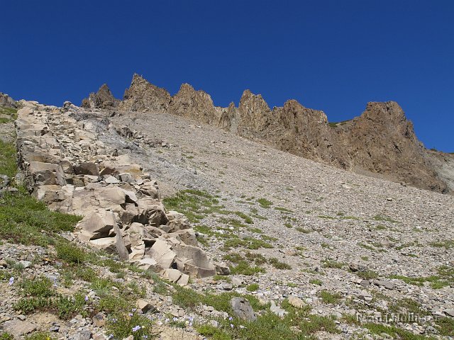 _7264391.JPG - Another view of the intrusion.