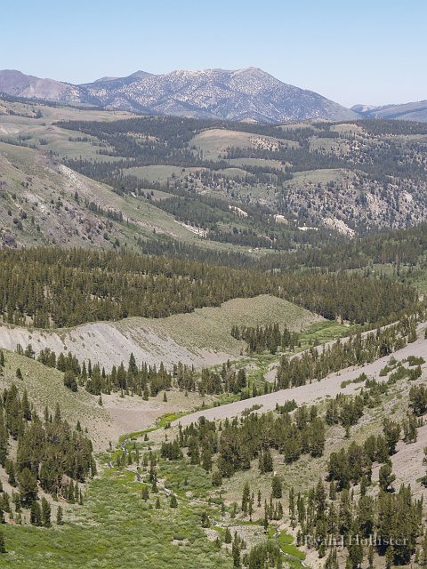 _7264423.JPG - A view down Ski Creek Canyon to its junction with Leavitt Creek in the middle of the photo. The creeks are cutting through glacial moraines (rocks bulldozed an pled by glaciers).