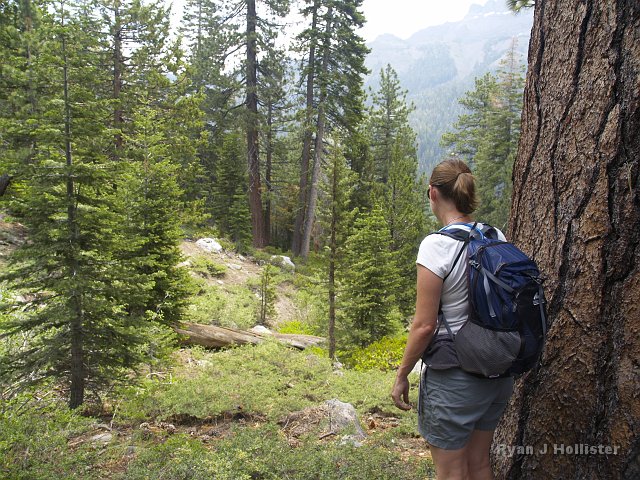 _7124128.JPG - There's not much to see in this photo, but if you listen intently, you just might hear the bear we spooked taking-off through the brush.