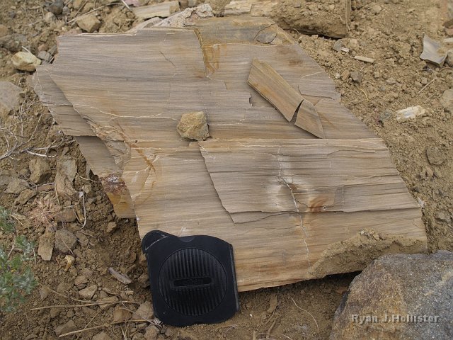 _7124185.JPG - Lens cap (3.5") for scale.