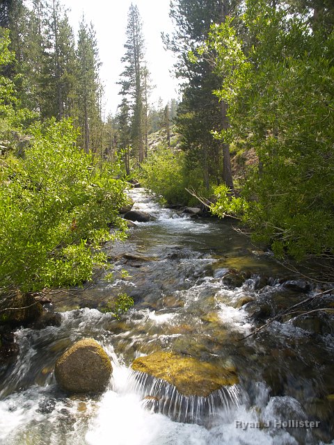 _7124200.JPG - Leavitt Creek, with no fish willing to hop on my hook.