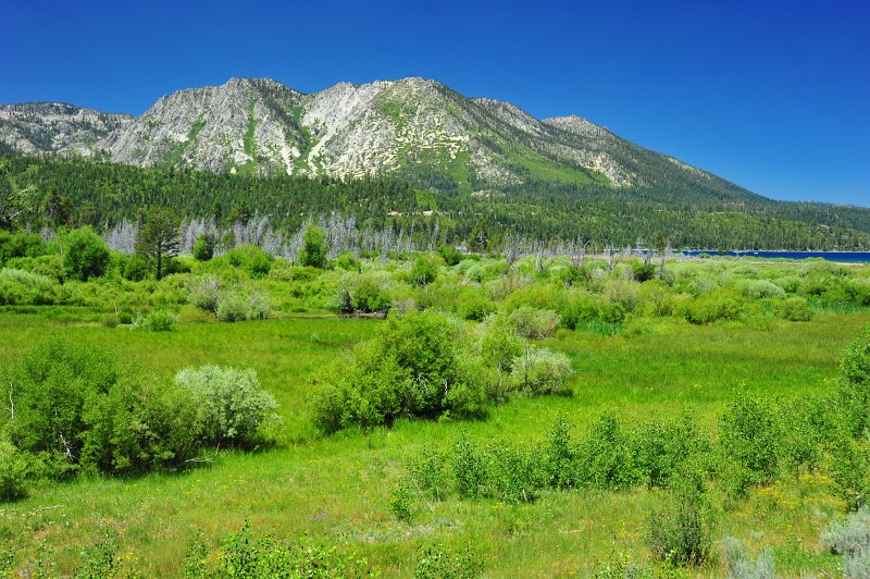 RJH_4009.JPG - Meadow near Taylor Creek.  Lake Tahoe visible to the left.
