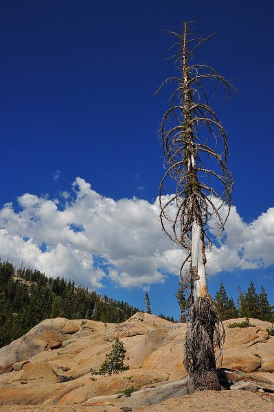 RJH_4130.JPG - Near Meadow Lake.