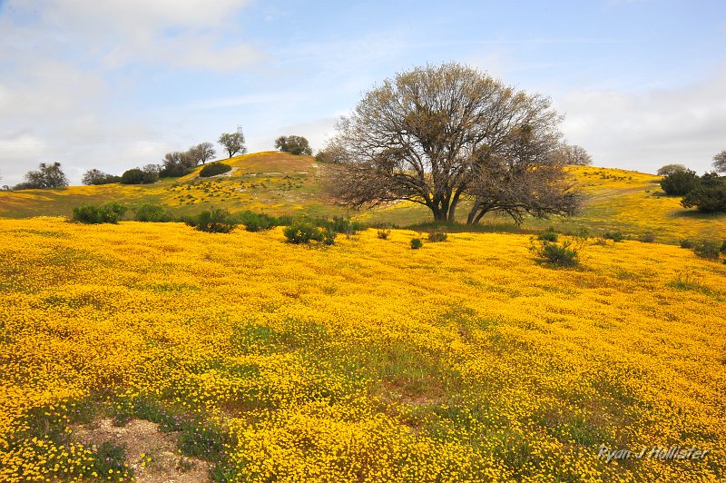 RJH_1233.JPG - Goldfields, HWY 58.