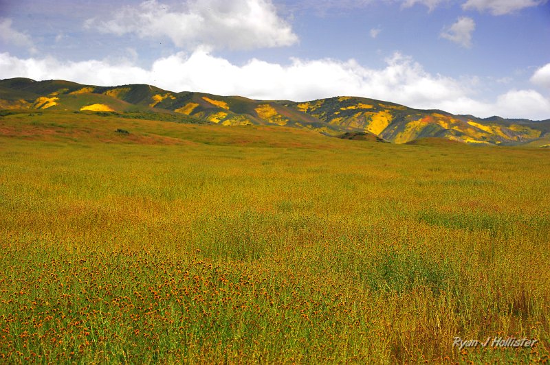 RJH_1248.JPG - The lunch time view from Wallace Creek parking lot.