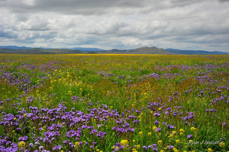 RJH_1278.JPG - Too many views from which to choose.