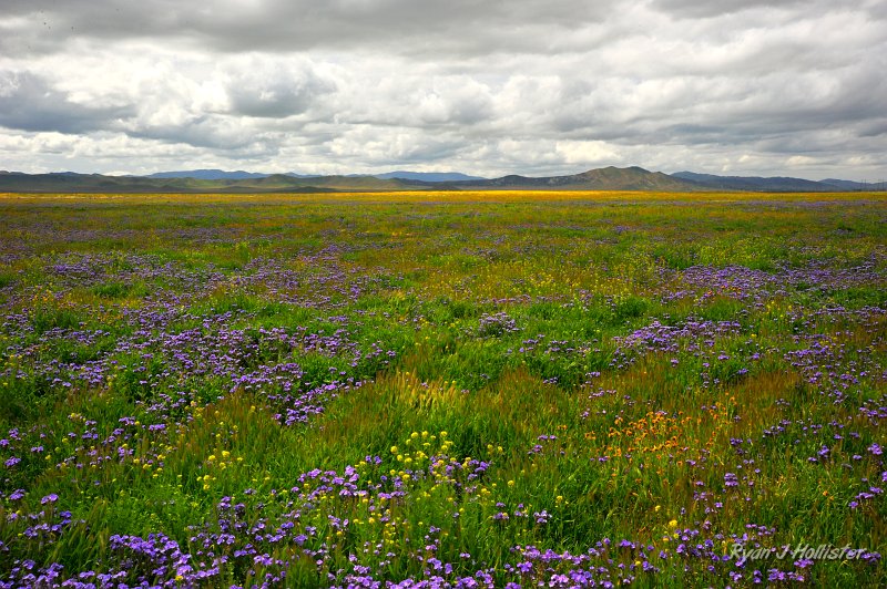 RJH_1282.JPG
