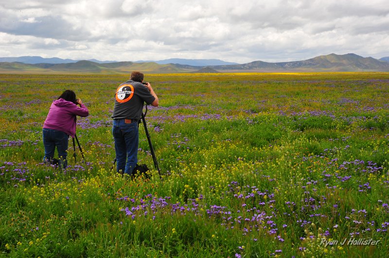 RJH_1298.JPG - These guys aced-out our spots after we left.