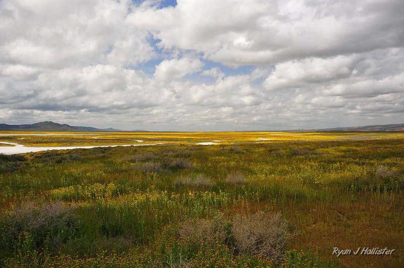 RJH_1308.JPG - The plains of Carrizo.