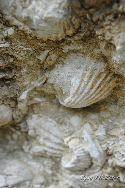 RJH_1367.JPG